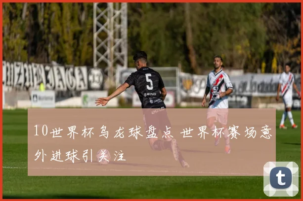 10世界杯乌龙球盘点 世界杯赛场意外进球引关注